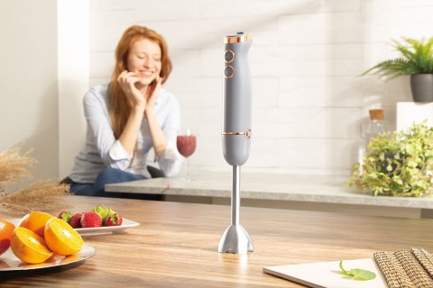 BLENDER RĘCZNY BERLINGER HAUS BH-9045 MOONLIGHT Lumarko!