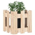 Donica ogrodowa z płotkiem, 30x30x30 cm, lite drewno sosnowe Lumarko!