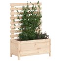 Donica ogrodowa z trejażem, 79x39,5x114 cm, lite drewno sosnowe Lumarko!