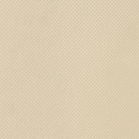 Kaptur ochronny na rośliny, z suwakiem, 70 g/m², 3,93x3,5 m Lumarko!