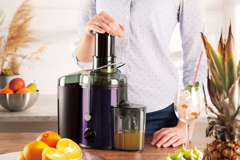 SOKOWIRÓWKA BERLINGER HAUS BH-9294 PURPLE ECLIPSE Lumarko!