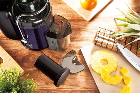 SOKOWIRÓWKA BERLINGER HAUS BH-9294 PURPLE ECLIPSE Lumarko!