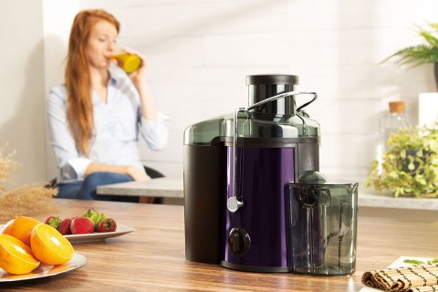 SOKOWIRÓWKA BERLINGER HAUS BH-9294 PURPLE ECLIPSE Lumarko!