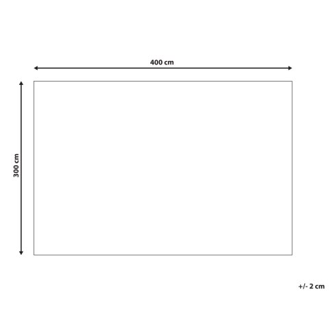 Dywan 300 x 400 cm beżowy MANDAI