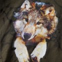 Koszulka dziecięca z długimi rękawami, z wilkiem, khaki, 104 Lumarko! Lumarko! 