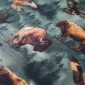 Bluza dziecięca, nadruk z bizonami i orłami, ciemnozielona, 128 Lumarko! Lumarko! 