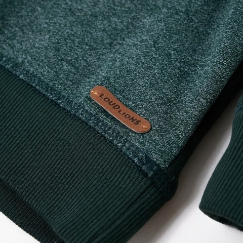 Bluza dziecięca z kapturem i napisem WINNER, ciemnozielona, 140 Lumarko! 