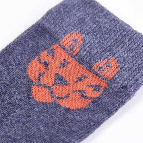 Skarpetki dziecięce, 5 par, z nadrukiem tygrysa, EU 23-26 Lumarko! 