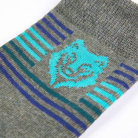 Skarpetki dziecięce, 5 par, z nadrukiem lwa, EU 30-34 Lumarko! 