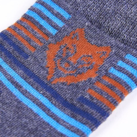 Skarpetki dziecięce, 5 par, z nadrukiem lwa, EU 30-34 Lumarko! 