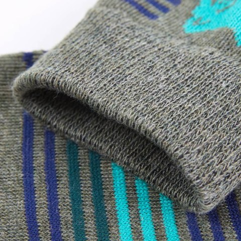 Skarpetki dziecięce, 5 par, z nadrukiem lwa, EU 30-34 Lumarko! 