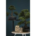 Sztuczny mini fikus bonsai, zielony, 47 cm, 420006 Lumarko