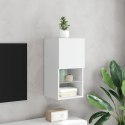 Szafka pod telewizor, z LED, biała, 30,5x30x60 cm Lumarko!