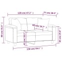 2-osobowa sofa z poduszkami, ciemnoszara, 120 cm, mikrofibra Lumarko!