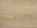 Stół do jadalni 160 x 90 cm jasne drewno BUSCOT Lumarko!