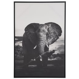 Obraz na płótnie w ramie słoń 63 x 93 cm szary NIBBIA Lumarko!