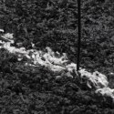 Dywan shaggy z wysokim runem, czarno-kremowy, 100x200 cm Lumarko!