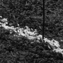 Dywan shaggy z wysokim runem, czarno-kremowy, 120x170 cm Lumarko!