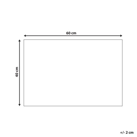 Wycieraczka kokosowa 40 x 60 cm naturalna PAMIR