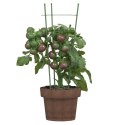 Podpórki dla roślin, z 3 obręczami, 5 szt, zielone, 45 cm, stal Lumarko!