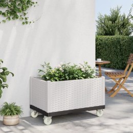 Donica ogrodowa na kółkach, biała, 80x50x54 cm, PP Lumarko!