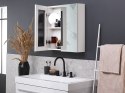 Szafka łazienkowa wisząca z lustrem 60 x 60 cm biała NAVARRA