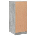 Szafka garderobiana, szarość betonu, 48x41x102 cm Lumarko!