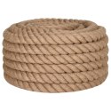 VidaXL Sznur jutowy, 10 m długości, 40 mm grubości