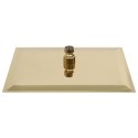 VidaXL Deszczownica ze stali nierdzewnej, 30x20 cm, prostokątna, złota