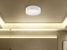 Lampa sufitowa LED metalowa biała LOEI