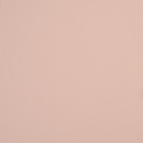 VidaXL Szafki nocne, 2 szt., różowe, 34,5x39x62 cm, stal