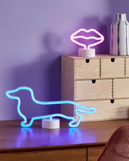 Neon LED pies niebieski FRANCIS