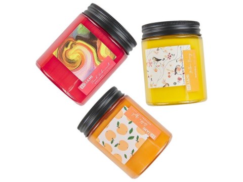 3 świece zapachowe sojowe czerwona porzeczka/ miechunka/ jabłko FRUITY BLOOM
