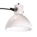 Lampa stojąca, 25 W, biała, 150 cm, E27 Lumarko!