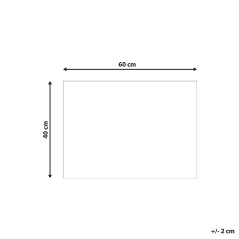 Wycieraczka kokosowa 40 x 60 cm czarna FANSIPAN