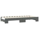 Sofa rozsuwana z materacami, ciemnoszara, 90x200 cm, tkanina  Lumarko!