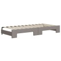 Sofa rozsuwana z materacami, kolor taupe, 100x200 cm, tkanina Lumarko!