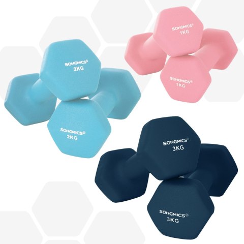 Zestaw hantli , hantle, sześciokąt, ze stojakiem na hantle, 2 x 1 kg, 2 x 2 kg, 2 x 3 kg, limonkowy, akwamaryn, szary, matowe wy