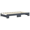 Sofa rozsuwana z materacami, ciemnoszara, 100x200 cm, aksamit Lumarko!