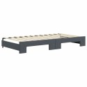 Sofa rozsuwana z materacami, ciemnoszara, 100x200 cm, aksamit  Lumarko!