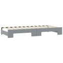 Sofa rozsuwana z materacami, jasnoszara, 100x200 cm, tkanina  Lumarko!