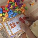 Zestaw Edukacyjny Nauka Liczenia Montessori Sorter Kolorów 8SZT  Lumarko!