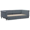 Sofa rozsuwana z szufladami, ciemnoszara, 100x200 cm, aksamit  Lumarko!