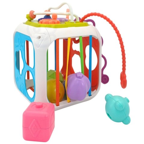 Sensoryczna Edukacyjna Kostka Aktywności Lumarko!