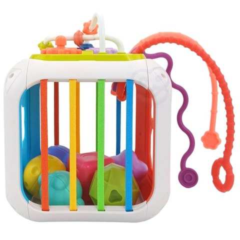 Sensoryczna Edukacyjna Kostka Aktywności Lumarko!