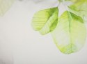 Poduszka dekoracyjna PEPEROMIA Bawełna 45 x 45 cm Biały Wzór roślinny Lumarko!