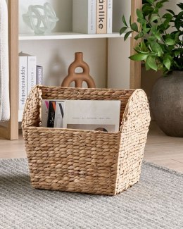 Gazetnik z hiacyntu wodnego jasny VINH