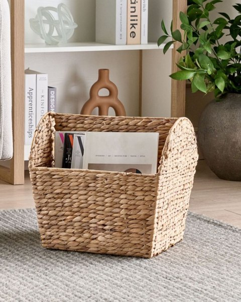 Gazetnik z hiacyntu wodnego jasny VINH