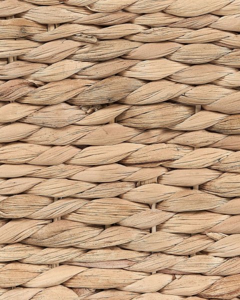 Gazetnik z hiacyntu wodnego jasny VINH