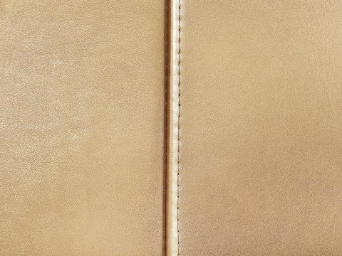 Łóżko wodne Skóra naturalna PARIS 160 x 200 cm Złoty